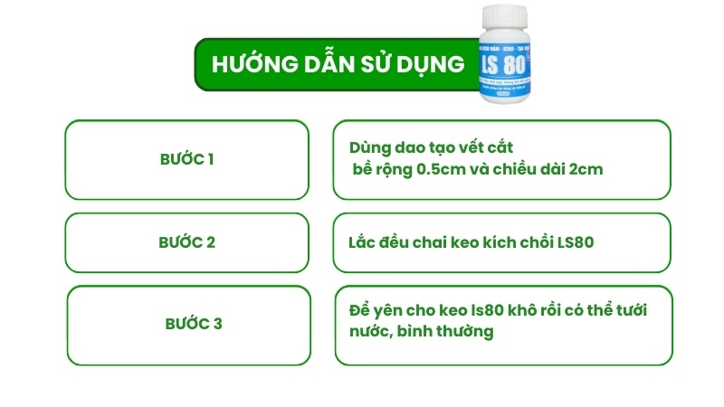 cách sử dụng keo kích chồi ls 80 trên cây mai
