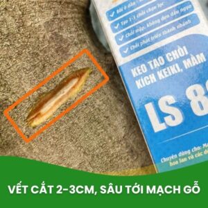 cách sử dụng ls80 đúng cách