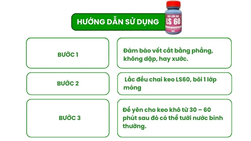 hướng dẫn cách bôi keo ls 60 cho cây mai