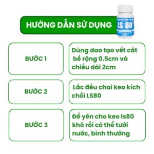 hướng dẫn cách kích chồi bằng keo ls 80