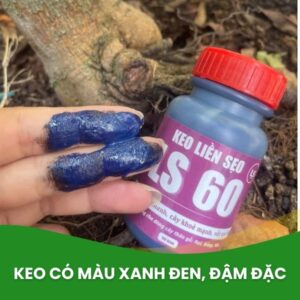 keo liền sẹo cây ls60 màu đen