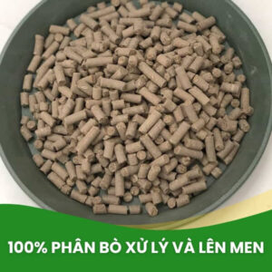 phân bò hữu cơ viên nén đã qua xử lý