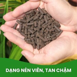 phân trùn quế viên nén tan chậm