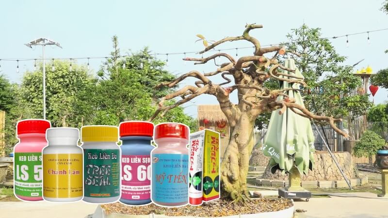 các loại keo liền sẹo cho cây tốt nhất