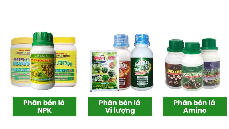 các loại phân bón lá cho cây mai
