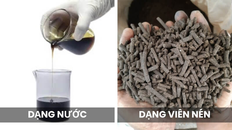 các loại phân đạm cá nên dùng cho mai
