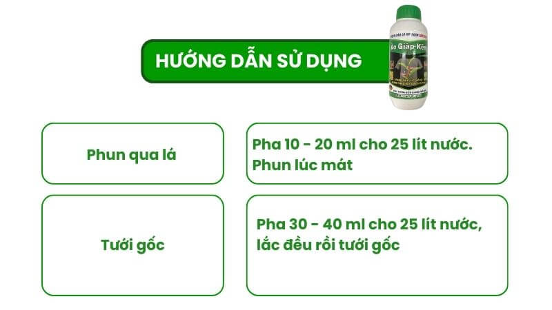 cách sử dụng siêu lân kẽm dưỡng lá, trị vàng lá cho mai