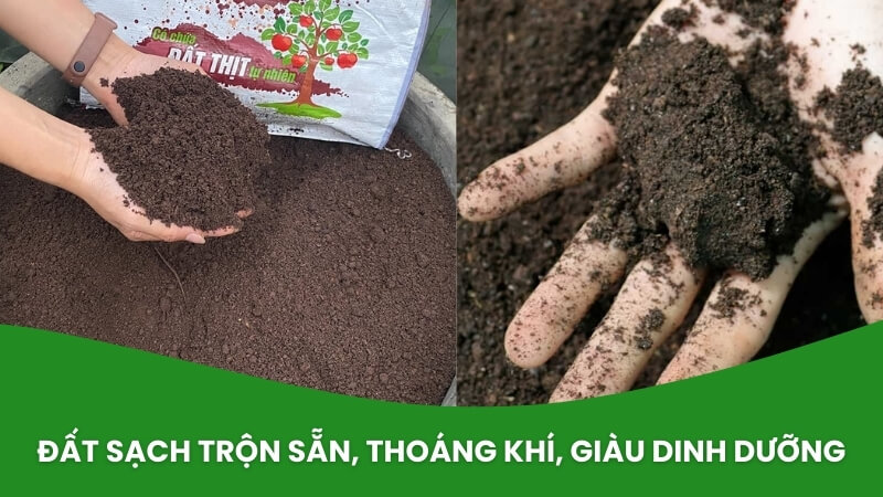 đất đa dụng trồng cây sfarm trộn sẵn, thoáng khí