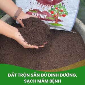 đất trồng cây trộn sẵn dinh dưỡng