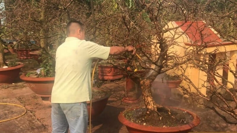 hiệu quả nhanh chóng
