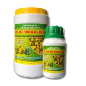 siêu tạo nụ kim cho mai vàng agasol