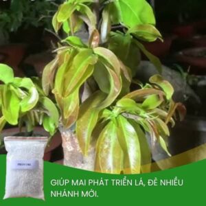 phân-đạm-ure-hàn-quốc-giúp-kích-chồi-lá