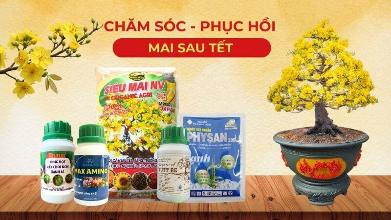 bộ phân bón chăm sóc phục hồi mai sau tết
