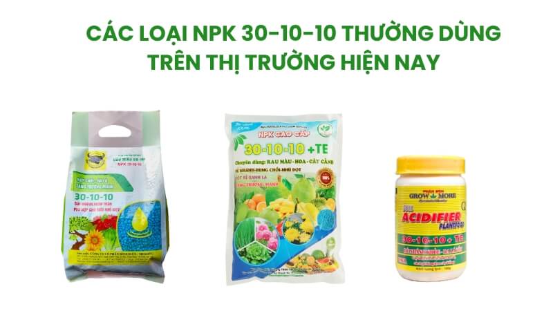 các loại phân npk 30-10-10 cho mai