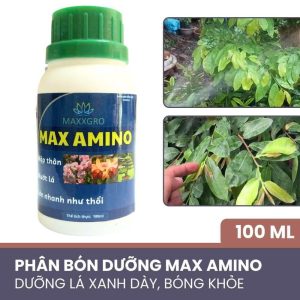 phân bón max amino dưỡng lá mai