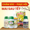 phân bón phục hồi mai sau tết