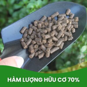 phân minro 70OM cho mai