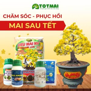 combo-cham-soc-phuc-hoi-mai-sau-tet