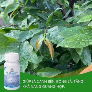 edta giúp lá xanh dày