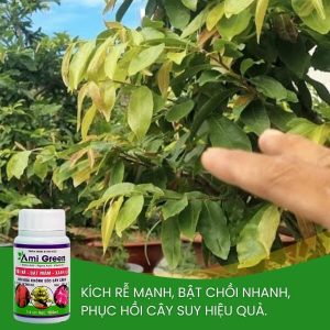 ami green hỗ trợ chống vàng lá, kích chồi lá