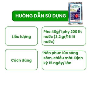 hướng dẫn cách dùng cambi nhật cho mai vàng