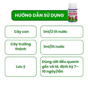hướng dẫn bón ami green cho mai vàng