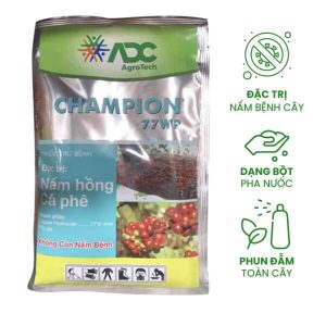 thuốc trừ nấm hồng champion cho mai