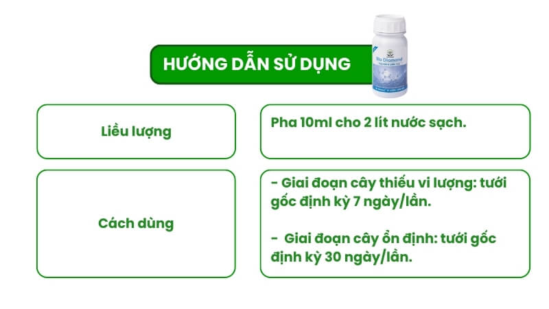 hướng dẫn sử dụng edta cho mai vàng 