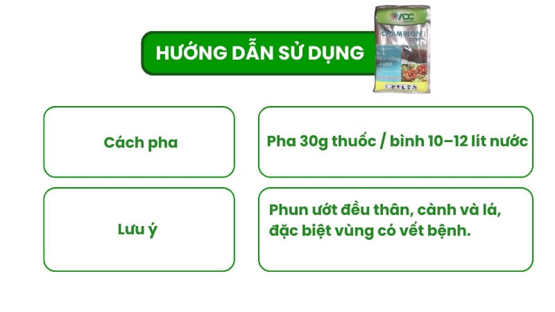 hướng dẫn thuốc trừ nấm champion cho mai vàng 