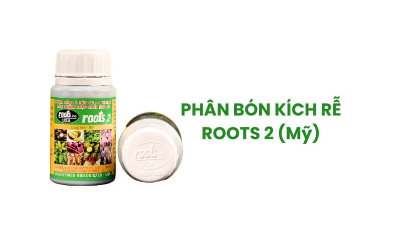 thuốc kích rễ roots 2 của Mỹ
