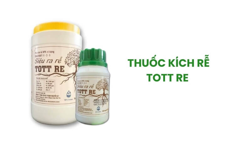 thuốc kích rễ tott rễ