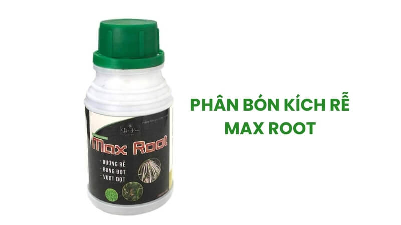 phân bón kích rễ max root