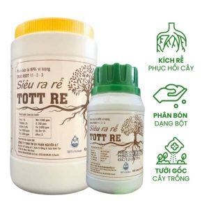 thuốc kích rễ tott rễ chuyên dùng cho mai vàng