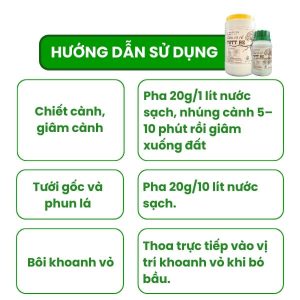 hướng dẫn sử dụng phân bón kích rễ tott rễ cho mai vàng
