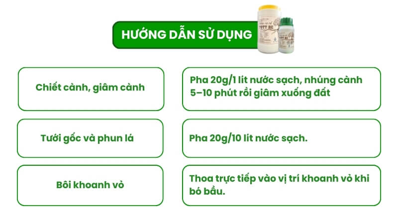 hướng dẫn sử dụng thuốc kích rễ tott rễ cho mai vàng