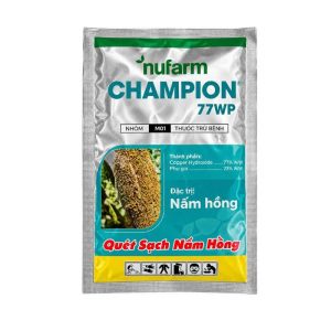 champion 77wp đặc trị nấm hồng