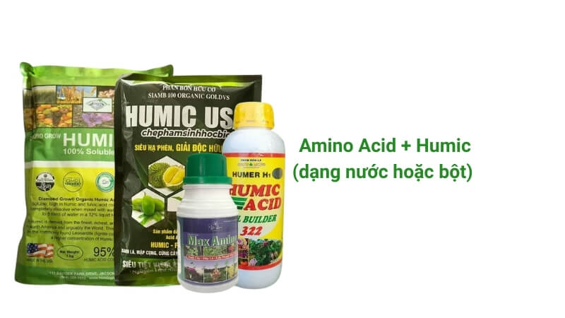 phân bón amino và humic