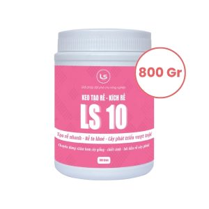 keo kích rễ liền sẹo ls10 chai 800gram