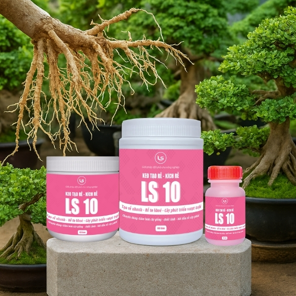 Bộ sản phẩm keo kích chồi kích rễ LS10