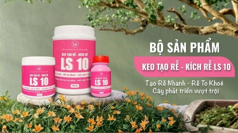 Bộ sản phẩm keo tạo rễ - Kích rễ LS10